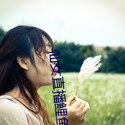 仙女直播鲤鱼门