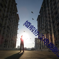 婚前协议电(diàn)视(shì)剧出轨(guǐ)第几集
