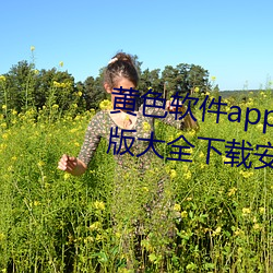 黄色软件app下载3.0.3免费华为版大全下载安装导航2023