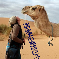 圍腰蛇病圖片