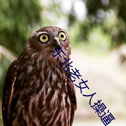 东北老女人(rén)操逼