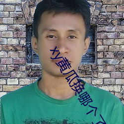 xy黃瓜換哪個了