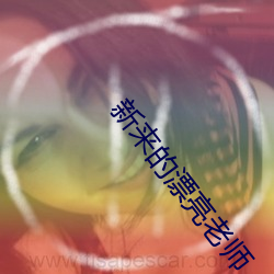 新(新)来的漂亮老师