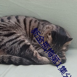 新(xīn)金(jīn)瓶梅(méi)第1集分集(jí)剧(jù)情介绍(共5集)