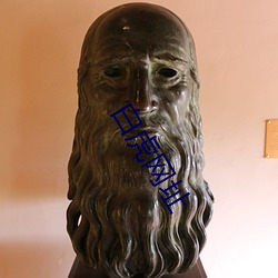 白虎網址
