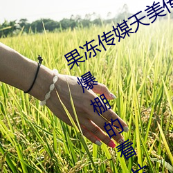 果冻传媒天美传媒京东影业一区:人气爆棚的看片神器