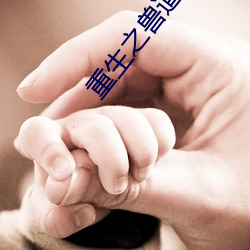 重生之(之)兽道