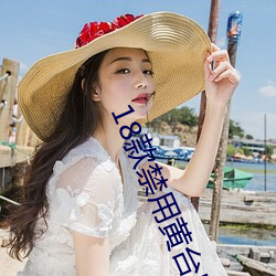18款禁用黄台50度灰