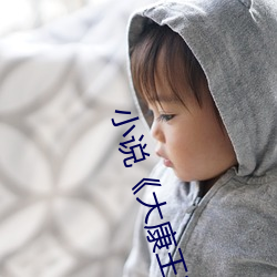 小說《大康王朝》