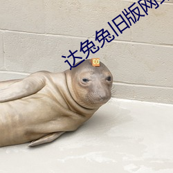 达兔兔旧版网站 （窃窃诩诩）