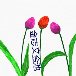 金志文金池(chí)