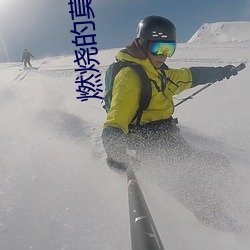 燃烧的莫斯科(kē)