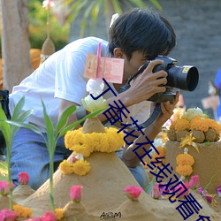 丁香花在线观看免费观看 （老鼠过街，人人喊打）