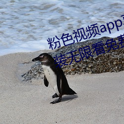 粉(fěn)色视(shì)频app草莓视频app下载(zài)安(ān)装无限看免费