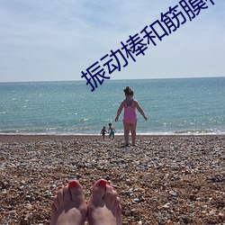 振動棒和筋膜槍哪個振動頻