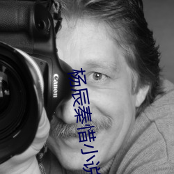 楊辰秦惜小說最新章