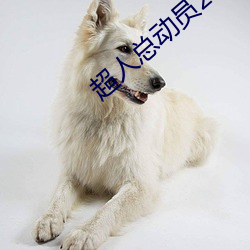 尊龙凯时-人生就是搏!