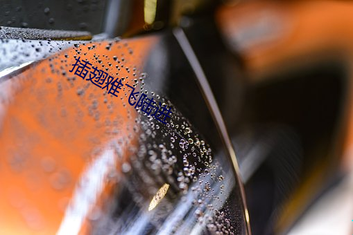 金年会 | 诚信至上金字招牌