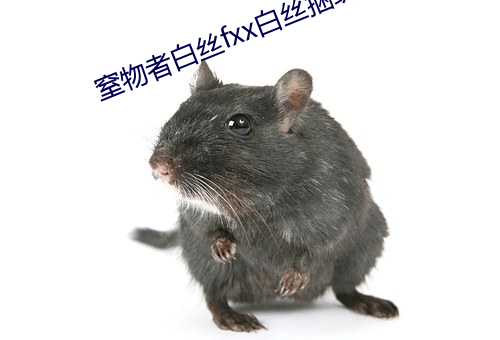 窒物者白絲fxx白絲捆綁