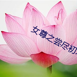 女尊之尝尽初木夜