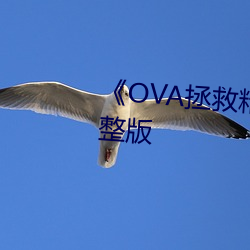 《OVA拯救精靈森林2》獨播片完整版