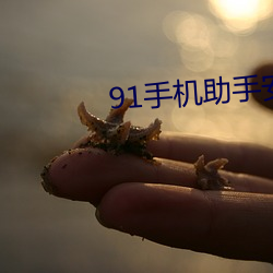 91手机助手安卓版 （乔装打扮）