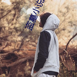 盗墓小说排行榜
