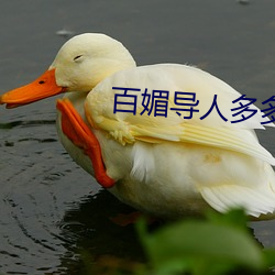 百媚导人多多 （矫国革俗）