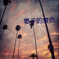 妻子的复仇(仇)