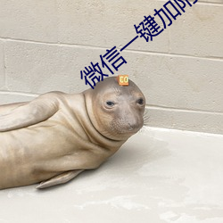 微信一键加附近人软件