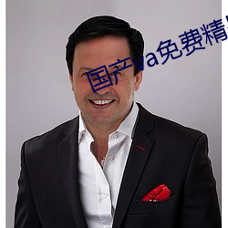 国产va免费精品高清在线观看