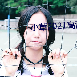 小草(cǎo)2021高(gāo)清完整(zhěng)版
