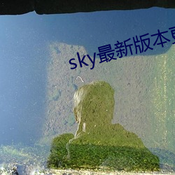 sky最新版本更新下载 （慢条丝礼）