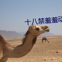十八禁羞羞动漫无遮挡在线播放