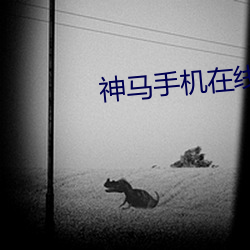 神馬手機在線電影院
