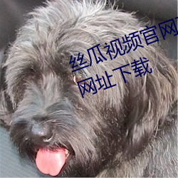 丝瓜(guā)视频官网下载向日葵(kuí)视频教程网址下载