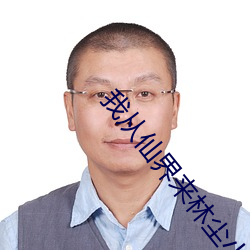 我从仙界来林尘小说