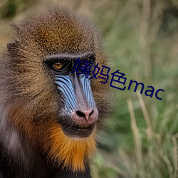 姨媽色mac