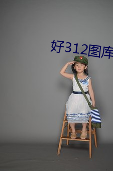 好(hǎo)312图库