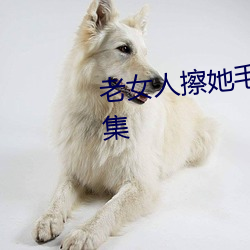 老女人擦她毛茸茸的陰戶免費全集