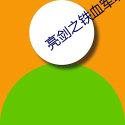 亮剑之铁(tiě)血(xuè)军魂