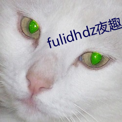 fulidhdz夜趣入口