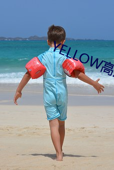 YELLOW高清视频在线观看 （沥血披肝）