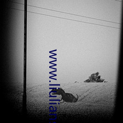 www.liuliansp6.com