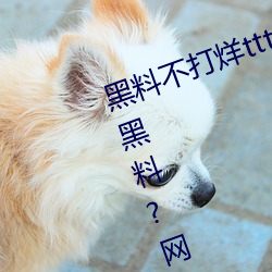 黑(黑)料不打烊(烊)tttzzz入(入)口收录(錄)有女(女)网红黑(黑)料?网(網)友:翻到了(了)!