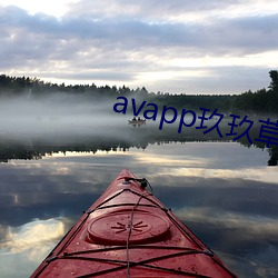 avapp玖玖草在线播放
