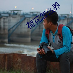荷花怎么养 （长项）
