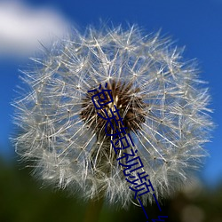 泡(泡)芙(芙)短(短)视(視)频二维码