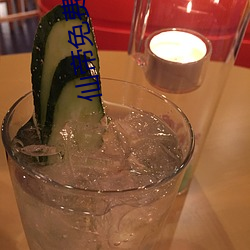 仙帝免费(fèi)阅读
