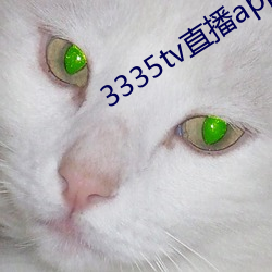 3335tv直播app下載